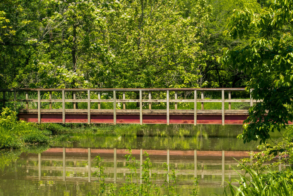 A wooden footbridge with red support beams spans a calm, reflective pond surrounded by lush greenery at Oxley Nature Center. The dense forest backdrop and still water create a serene, natural scene rich with summer foliage.