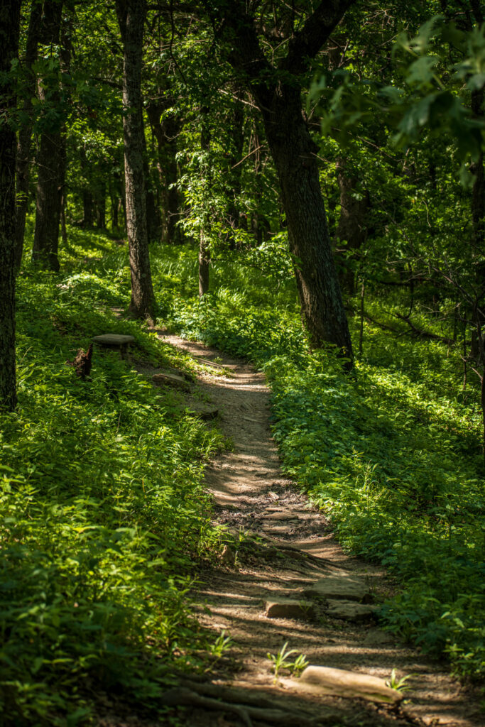 tallgrass-prairie-preserve-pawhuska The hiking trail at the Tallgrass Prairie Preserve has parts that are shaded.
