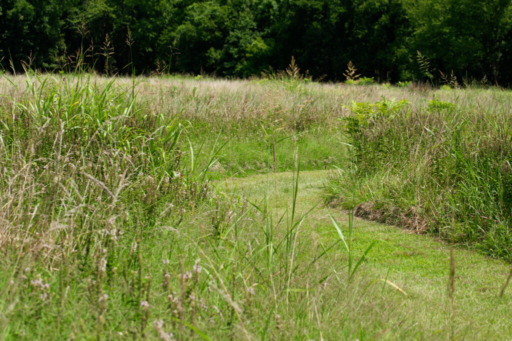 Meadowlark Prairie Trail Oxley Nature Center