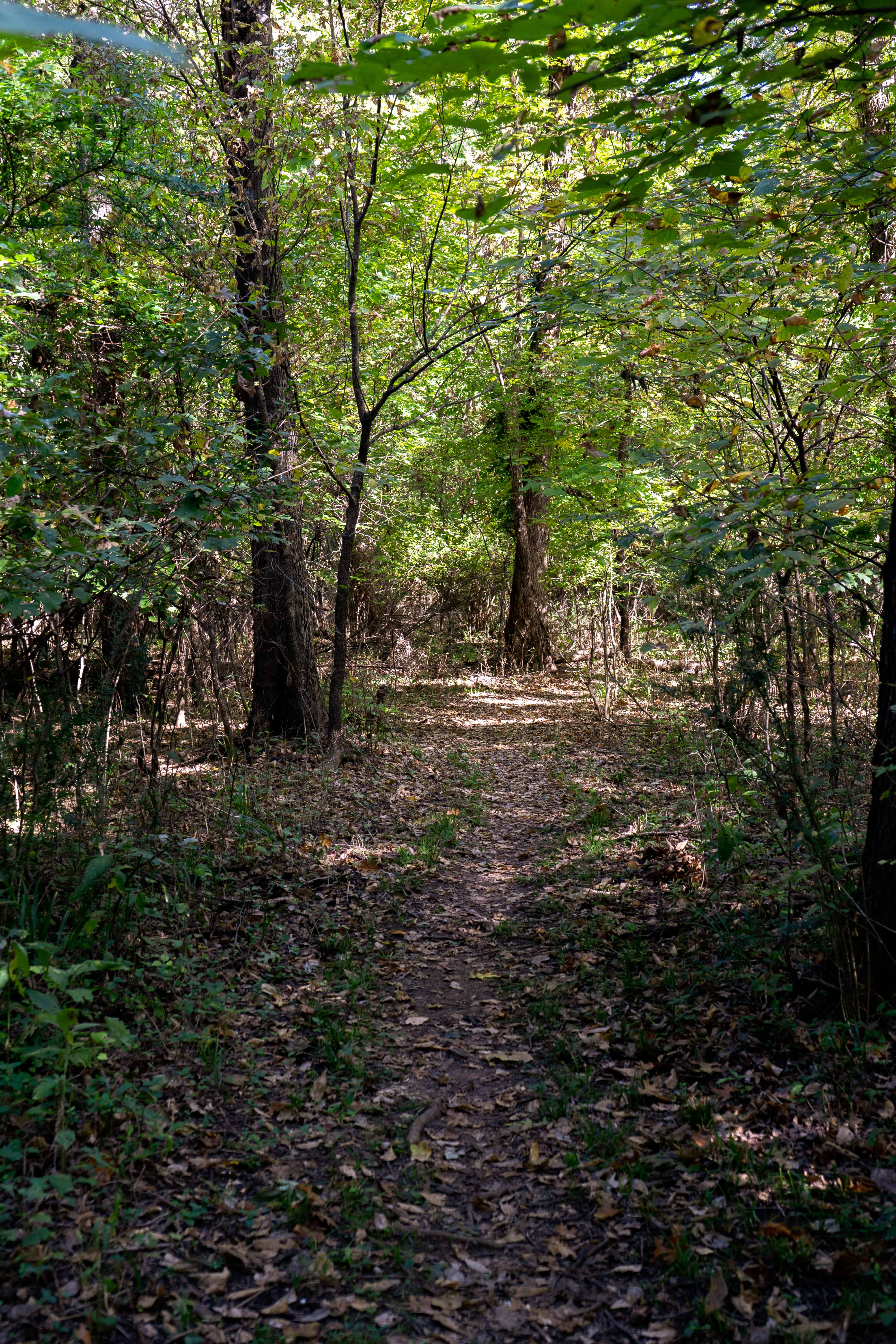 North Woods Loop Oxley Nature Center Trail