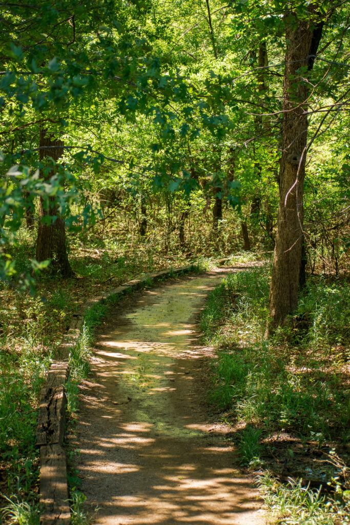Red Fox Trail Oxley Nature Center