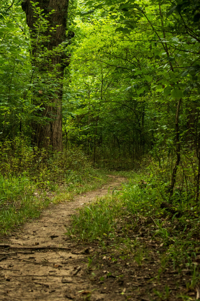 Thrush Trail Oxley Nature Center