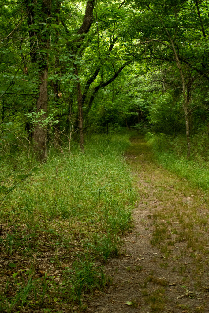 Whitetail Trail Oxley Nature Center