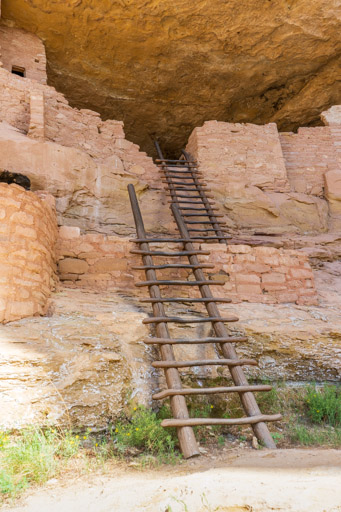 Long House Tour Ladders Mesa Verde with Kids