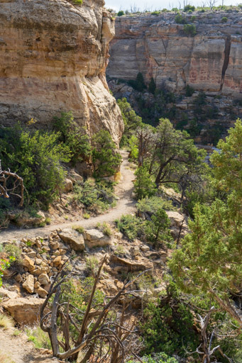 Long House Tour Trail