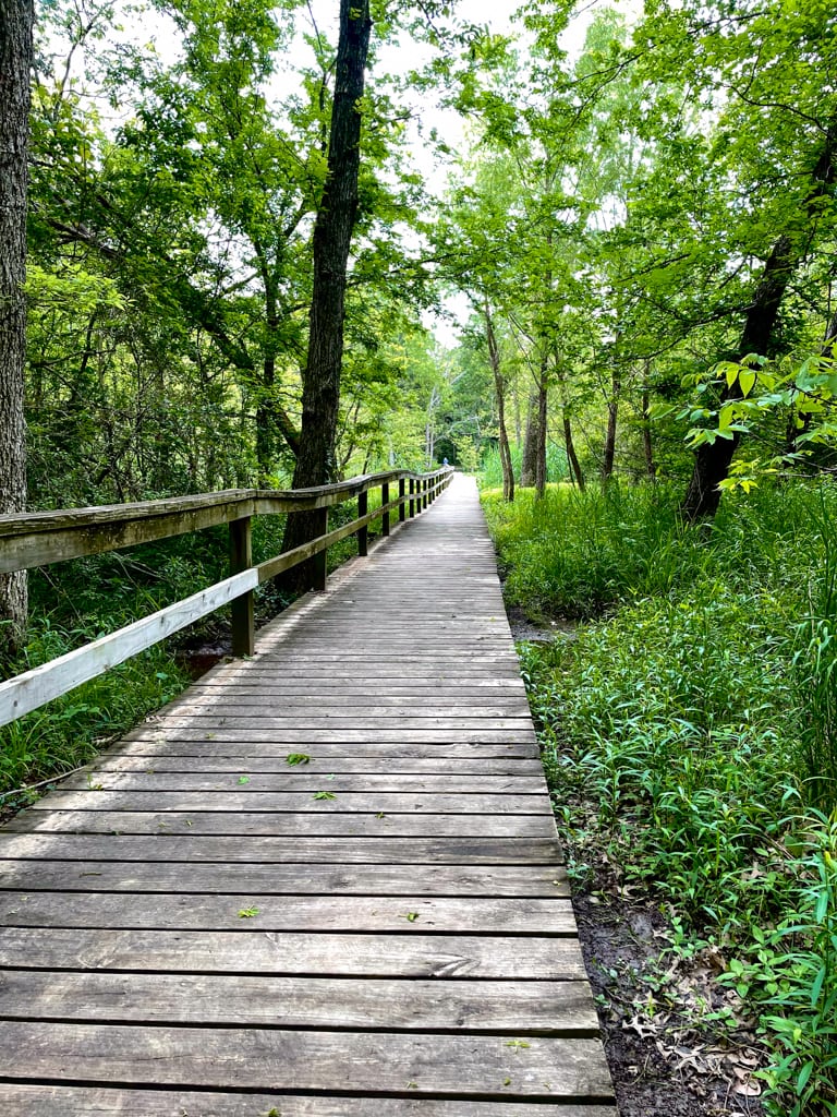 RSU Nature Reserve Boardwalk in Claremore