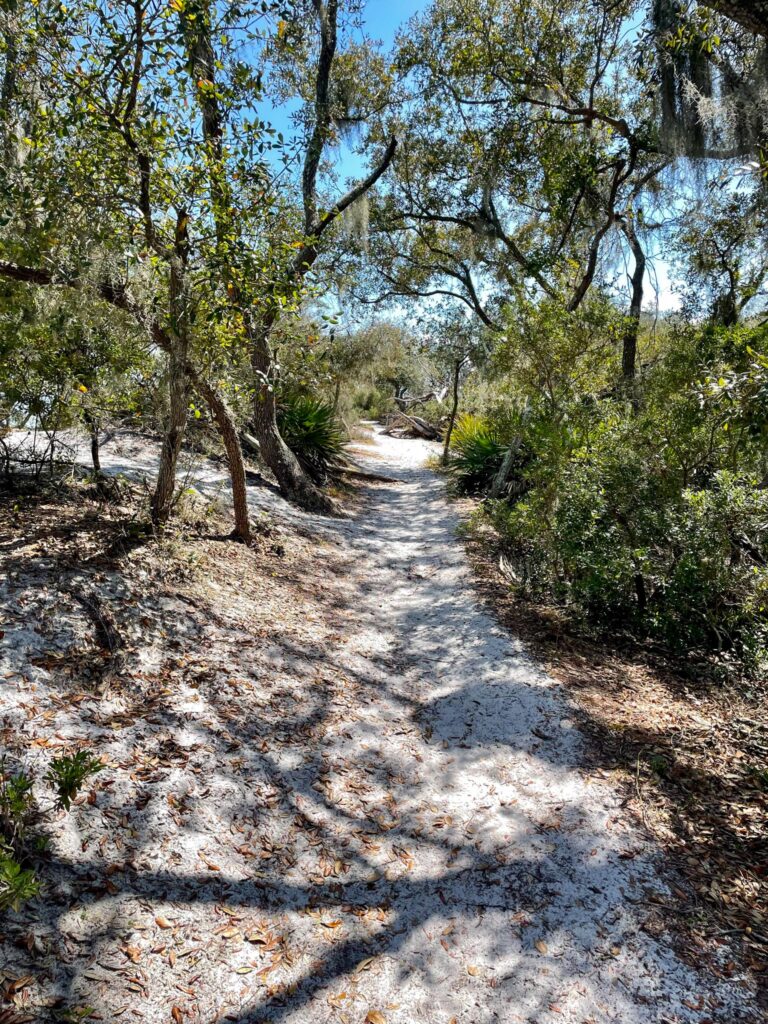 Panama City Beach St. Andrews State Park