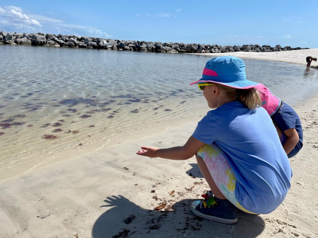 Panama City Beach St. Andrews State Park