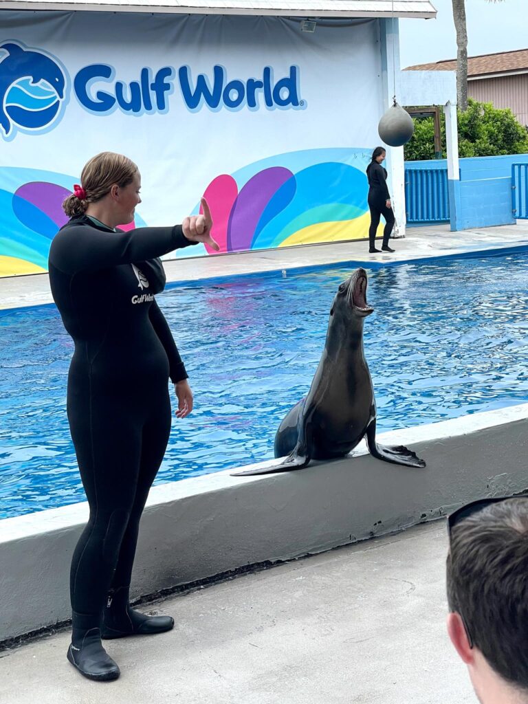 Panama City Beach Gulf World Sea Lion Show
