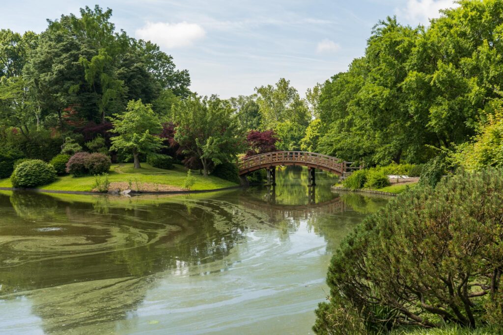 Missouri Botanic Japanese Gardens