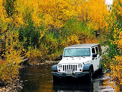 White Jeep driving on the Medano Pass Primitive Road in the fall with the aspens lining the road