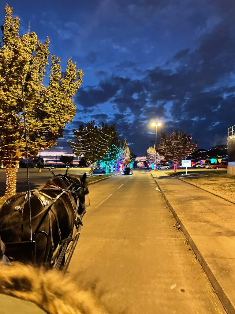 Rhema Christmas Carriage Rides