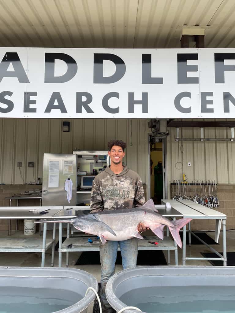 Paddlefish Research Center Spoonbill