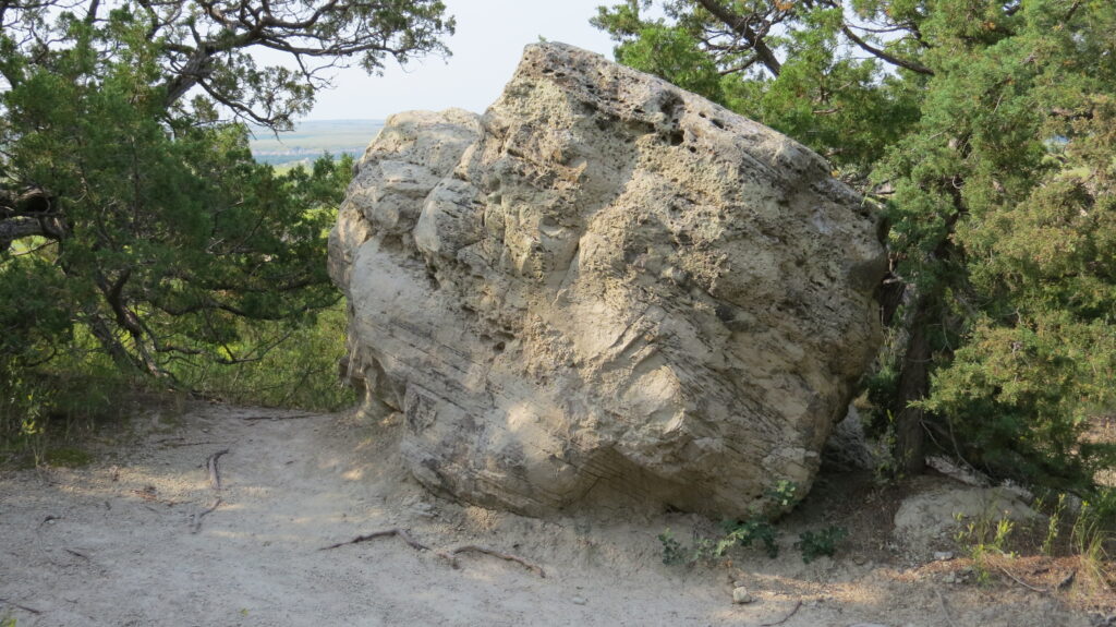 Rock Along Cliff Shelf Nature Trail
