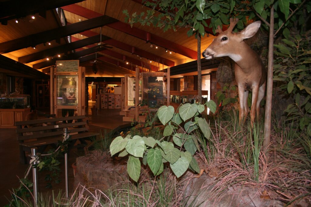 Travertine Nature Center at Chickasaw National Recreation Area National Parks in Oklahoma