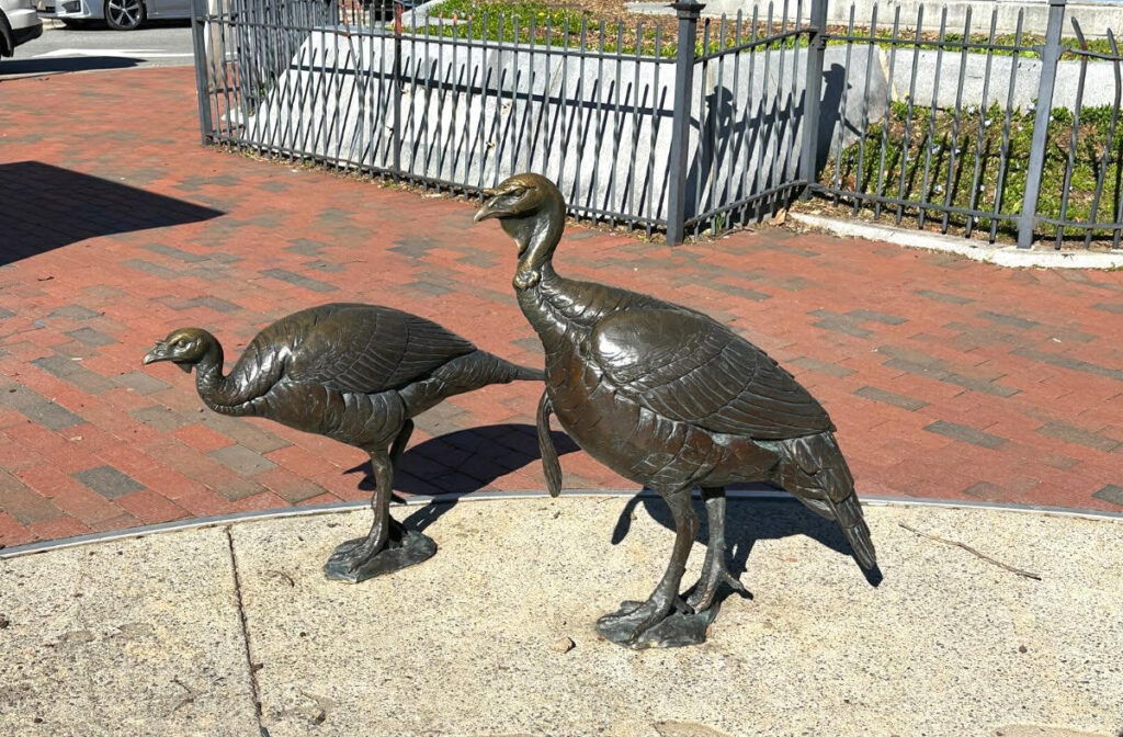 Asheville Urban Trail