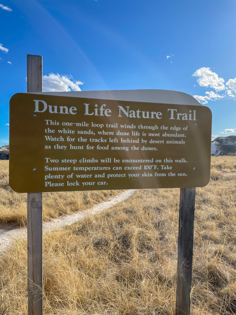 Dune Life Nature Trail Sign White Sands National Park