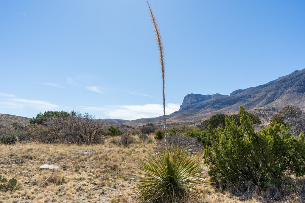 Guadalupe Mountains Scenery