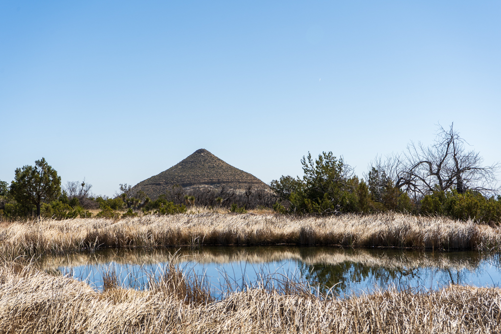 Guadalupe Mountains Manzanita Spring