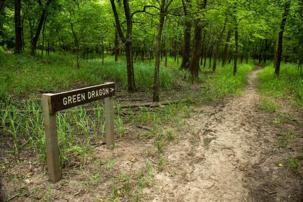 Green Dragon from Bob's Trail Oxley Nature Center in Tulsa