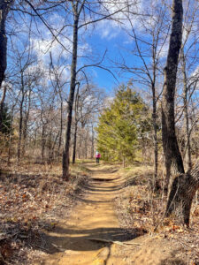 30+ Hiking Trails Near Tulsa (From A Local)