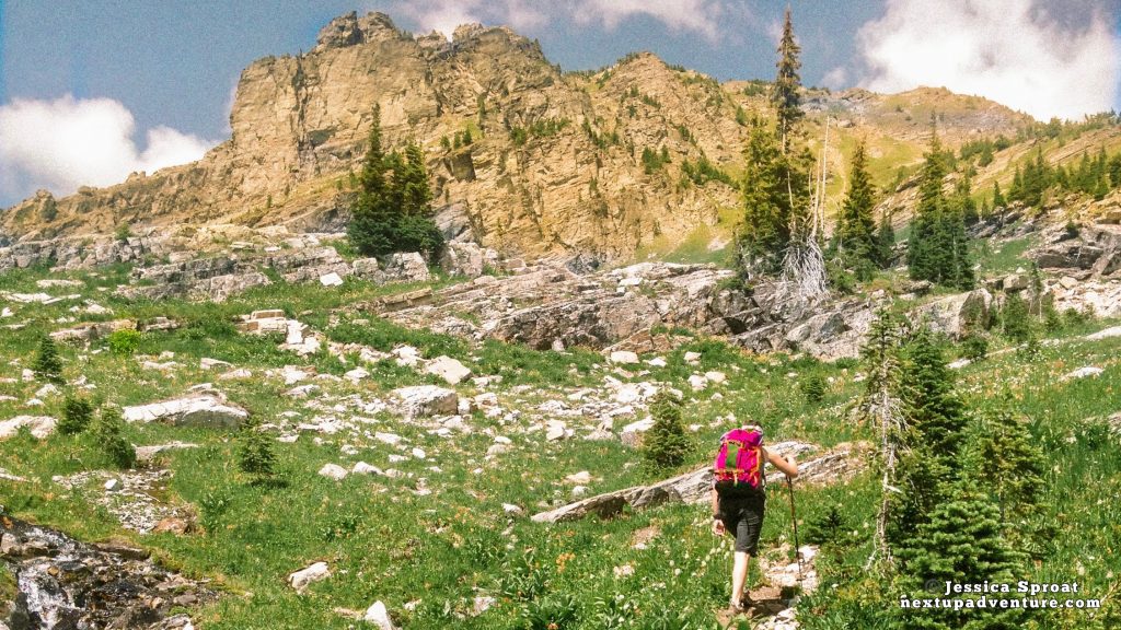 Mount Revelstoke National Park, one of the National Parks in Western Canada