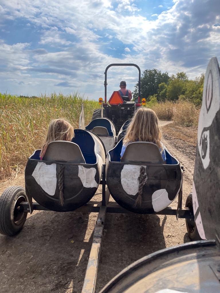 Two children ride in barrel carts painted with cow spots and braided tails, pulled by a tractor along a dirt path. The ride moves between tall cornfields under a partly cloudy sky. The scene captures a fun farm-themed attraction.