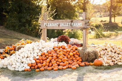 A rustic wooden sign reading "Pleasant Valley Farms" stands above large piles of pumpkins in white, orange, and striped varieties. Hay bales and fall flowers decorate the display, set outdoors in warm golden sunlight. The festive arrangement creates a welcoming autumn farm scene.