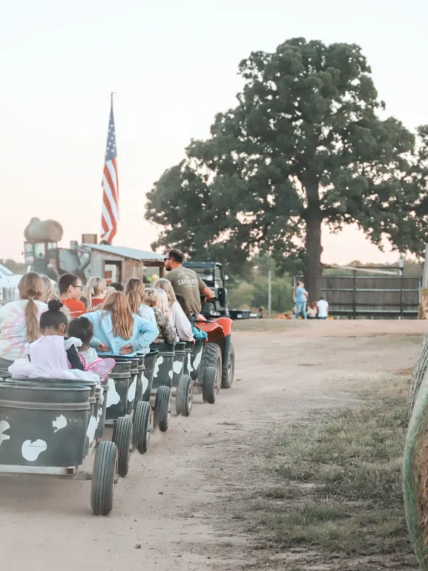 A group of children ride in a barrel train painted with cow spots, pulled by a small tractor at Brown Ranch. The dirt path winds past rustic farm buildings and a large oak tree, with an American flag waving in the background, capturing a classic country fall experience.