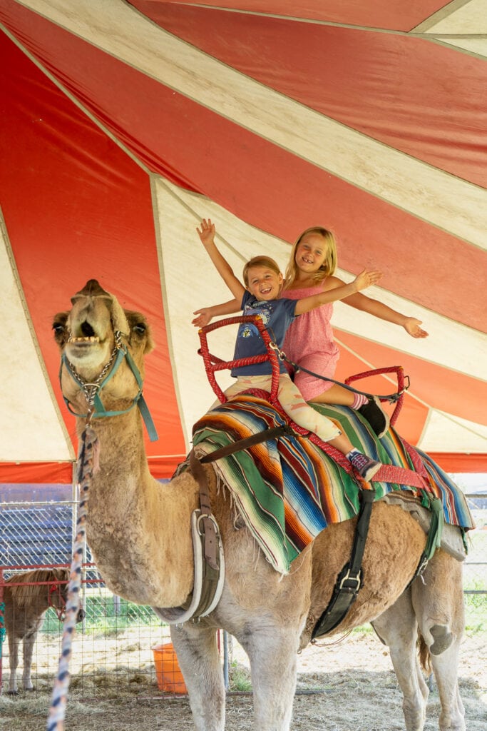 Two smiling children ride a camel under a red and white striped tent, holding their arms out in excitement. The camel is fitted with colorful striped blankets and red reins, while another camel can be seen in the background inside the enclosure. The festive setup gives a carnival-like atmosphere.