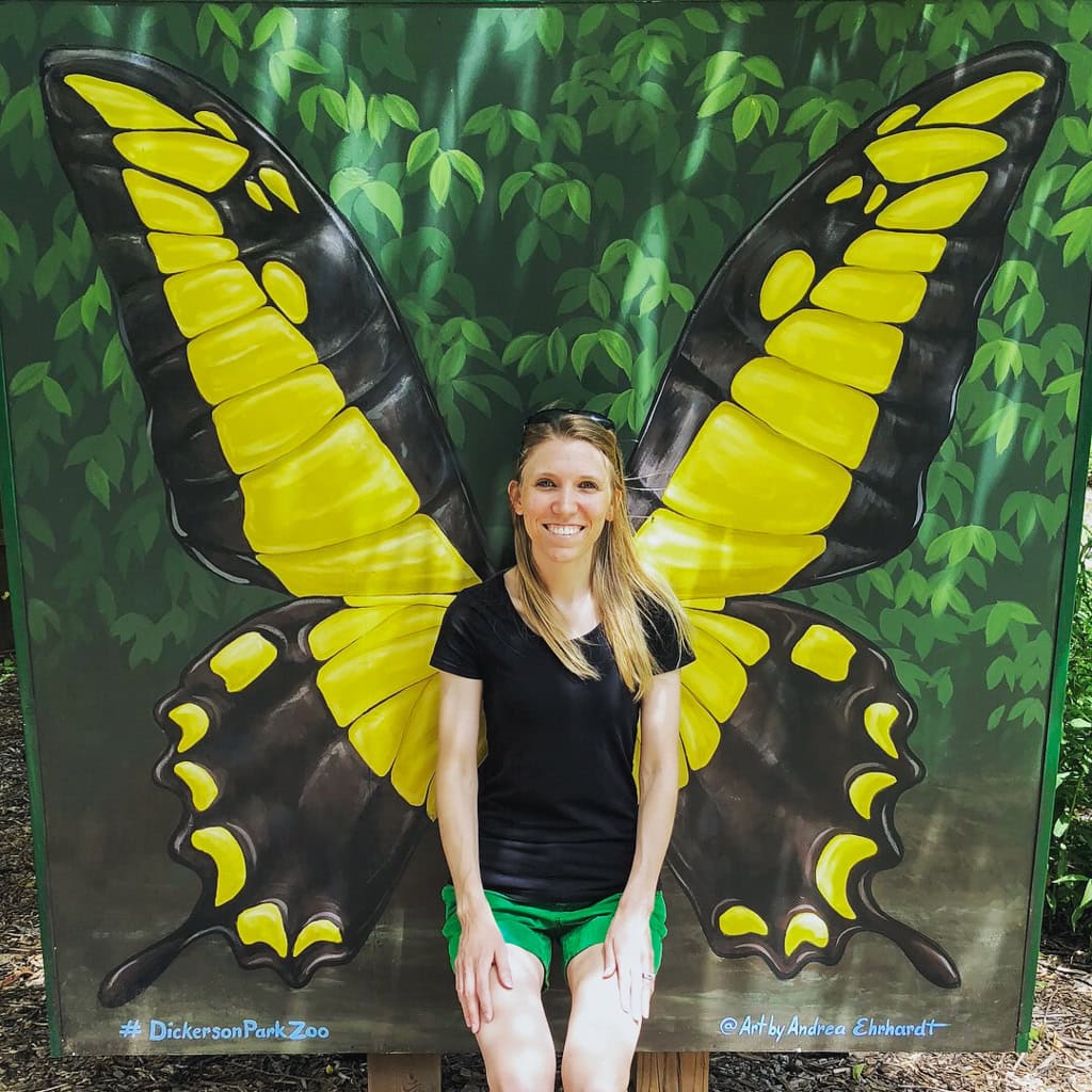 Dickerson Park Zoo Butterfly WIngs Painting