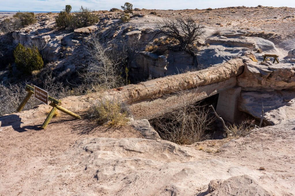 Agate Bridge One Day at Petrified Forest National Park