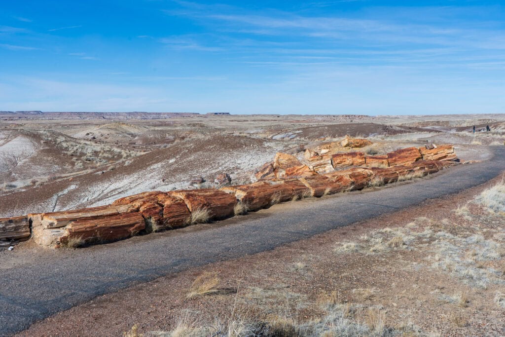 Long Petrified Log Along the Crystal Forest During Our One Day at Petrified Forest National Park