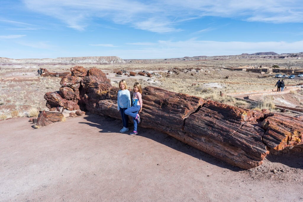 Old Faithful Petrified Log Along the Giant Logs Trail in Petrified Forest National Park