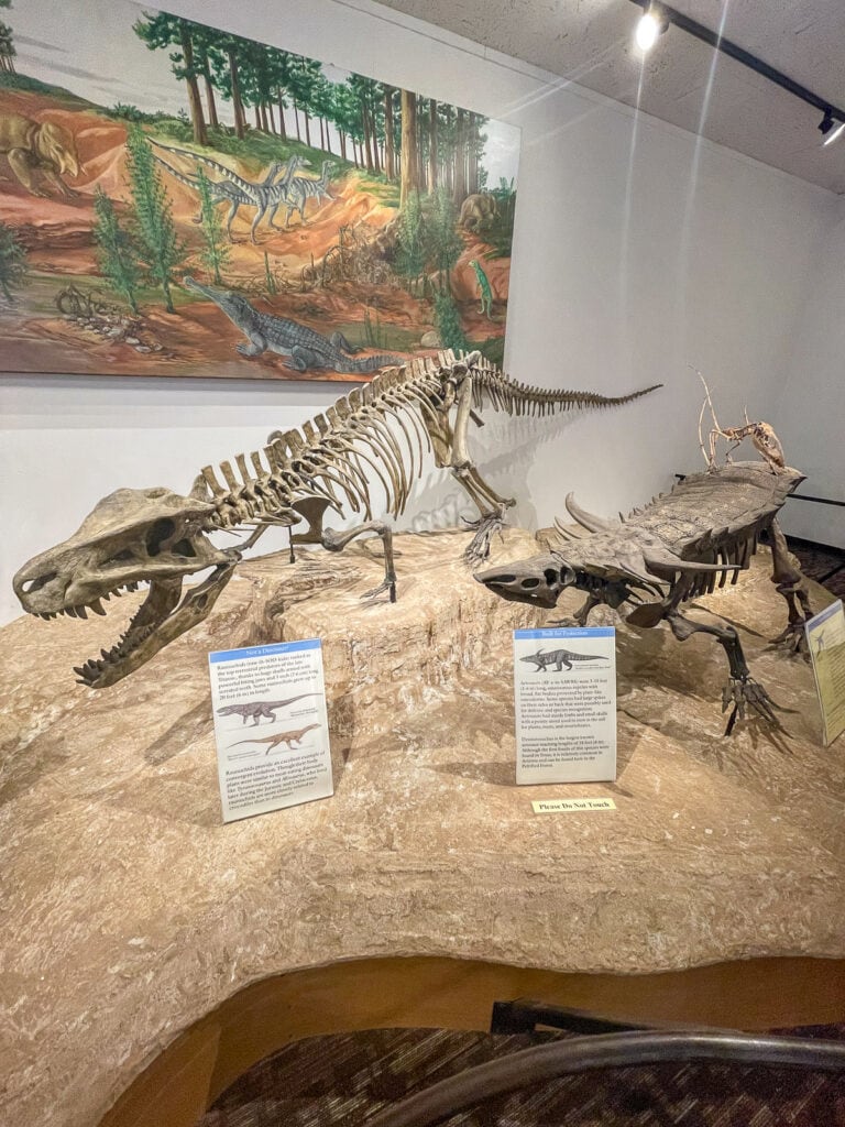 Rainbow Forest Museum Exhibit at Petrified Forest National Park