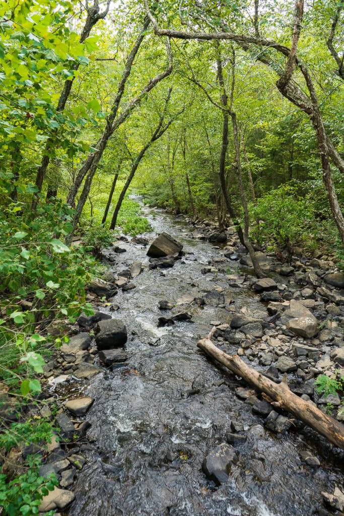 Things to do at Robbers Cave State Park- Stream along trail